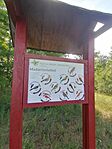 IMG_20260530_082205