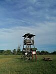 IMG_20260530_072628