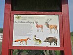 IMG_20260530_072648