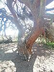 IMG_20260523_113632
