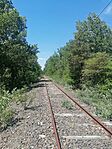 IMG_20260523_113517