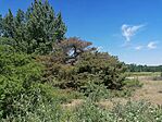 IMG_20260523_114200