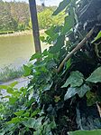 IMG20260506115710