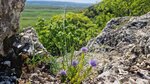 log-image-1779736964310-0