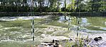 IMG_20260501_163749