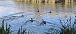 IMG_20260501_171351