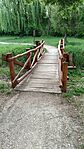 IMG_20260509_080003_335