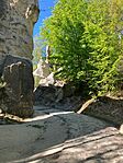 IMG-20260505-WA0007