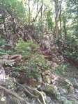 log-image-1779622197708-0