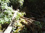 log-image-1779622197685-1