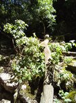log-image-1779622197706-2