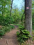 20260502_095619