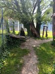 log-image-1779712613837-1