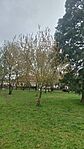 20260330_124557-OK