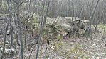 20260402_074816-OK