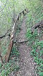 20260418_164530-OK