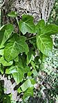 20260429_151815-OK