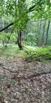 log-image-1780142487812-0