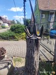 log-image-1780048832945-0