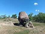 IMG_20260508_102646.jpg