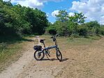 IMG_20260508_112226.jpg