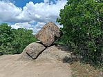 IMG_20260508_123415.jpg
