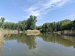 IMG_20260510_095744.jpg
