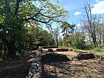 IMG_20260513_110122.jpg