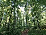 IMG_20260522_103848.jpg