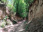 IMG_20260522_113747.jpg