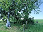 IMG_20260522_114356.jpg