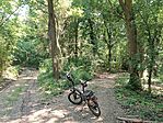 IMG_20260522_115252.jpg