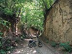 IMG_20260522_120036.jpg
