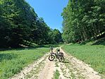 IMG_20260524_141034.jpg