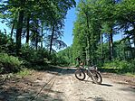 IMG_20260524_143124.jpg