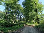 IMG_20260524_143112.jpg