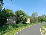 IMG_20260525_095728.jpg