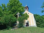 IMG_20260525_110021.jpg