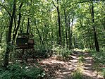 IMG_20260525_120739.jpg