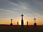 IMG_20260523_201255.jpg