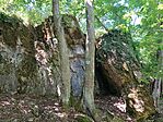 IMG_20260526_111457.jpg
