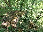 IMG_20260526_112344.jpg