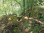 IMG_20260526_112358.jpg