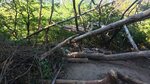 log-image-1779677625321-1