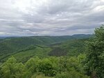 log-image-1779358390320-0