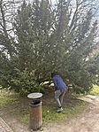 IMG_1285