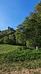 IMG_20260502_174115