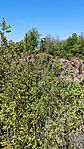 IMG_20260502_113645