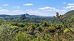 IMG_20260502_114137