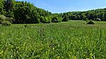 IMG_20260523_133802